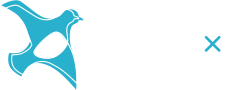 opn.vote